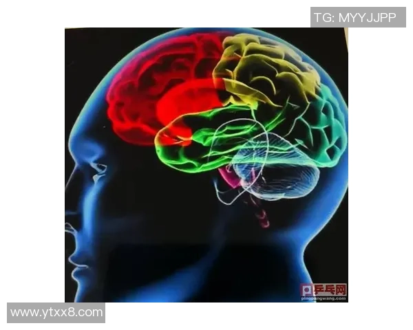 杭州乒乓球队反击战术解析与实战应用探讨